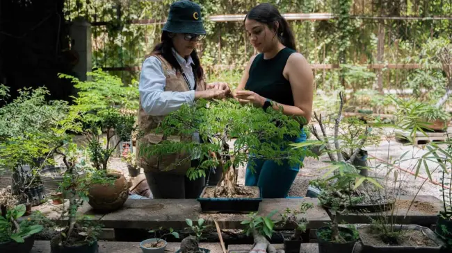 Regalarán árboles en el Jardín Botánico de Culiacán; entérate cuando y horarios.