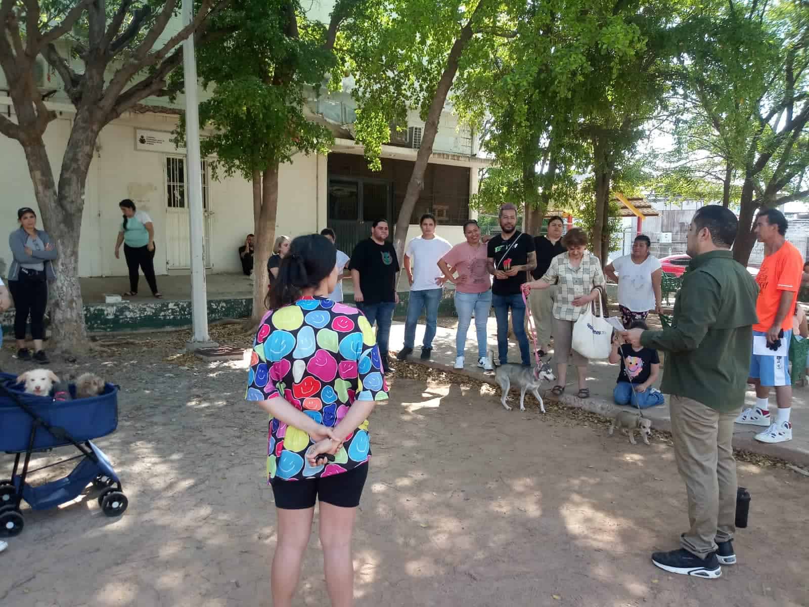 Jornada de esterilización de perros y gatos