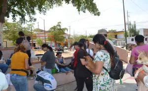 Esterilizan a más de 250 perros y gastos en la Huizaches y CNOP en Culiacán