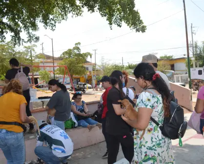 Esterilizan a más de 250 perros y gastos en la Huizaches y CNOP en Culiacán