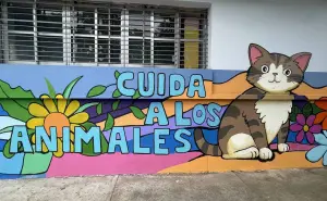 Pintarán 500 murales en Culiacán inundando de arte y paz con programa Vamos Pintando