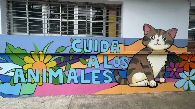Crearán 500 murales en Culiacán con programa Vamos Pintando