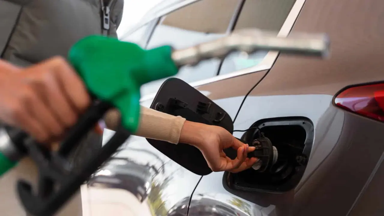 La gasolina Magna o gasolina verde tendrá estímulo fiscal. Foto: Freepik