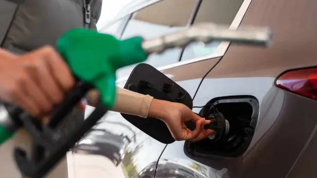La gasolina Magna o gasolina verde tendrá estímulo fiscal. Foto: Freepik