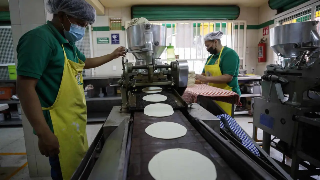 Tortillerías de la CDMX podrán administrar mejor sus ingresos y recibir más clientes. Foto: Cortesía