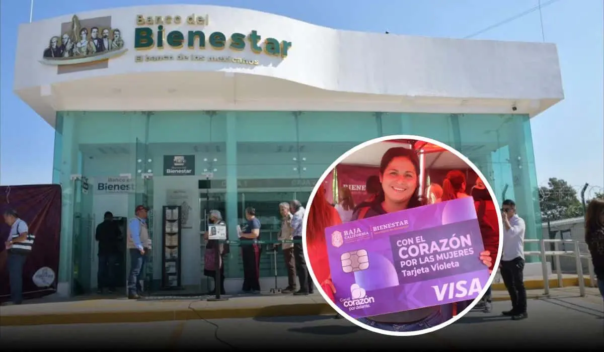 Por medio de la Tarjeta Violeta se busca apoyar a las mujeres que son jefas de familia. Foto: Cortesía