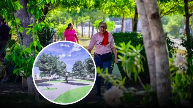 Este será el nuevo rostro del camellón central de la Avenida Venados en Mazatlán.