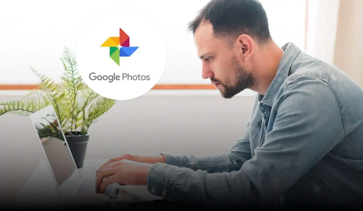 Descarga en minutos el contenido que tienes en Google Fotos. Foto: Freepik