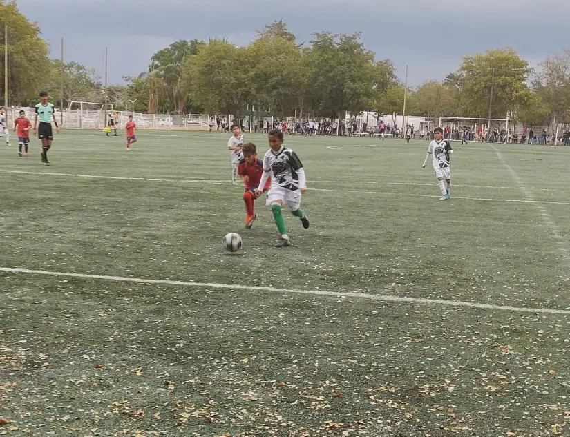 Aspectos del juego de la final de la categoría Osos de la Liga Prodem de Culiacán. Foto: Brenda Camacho