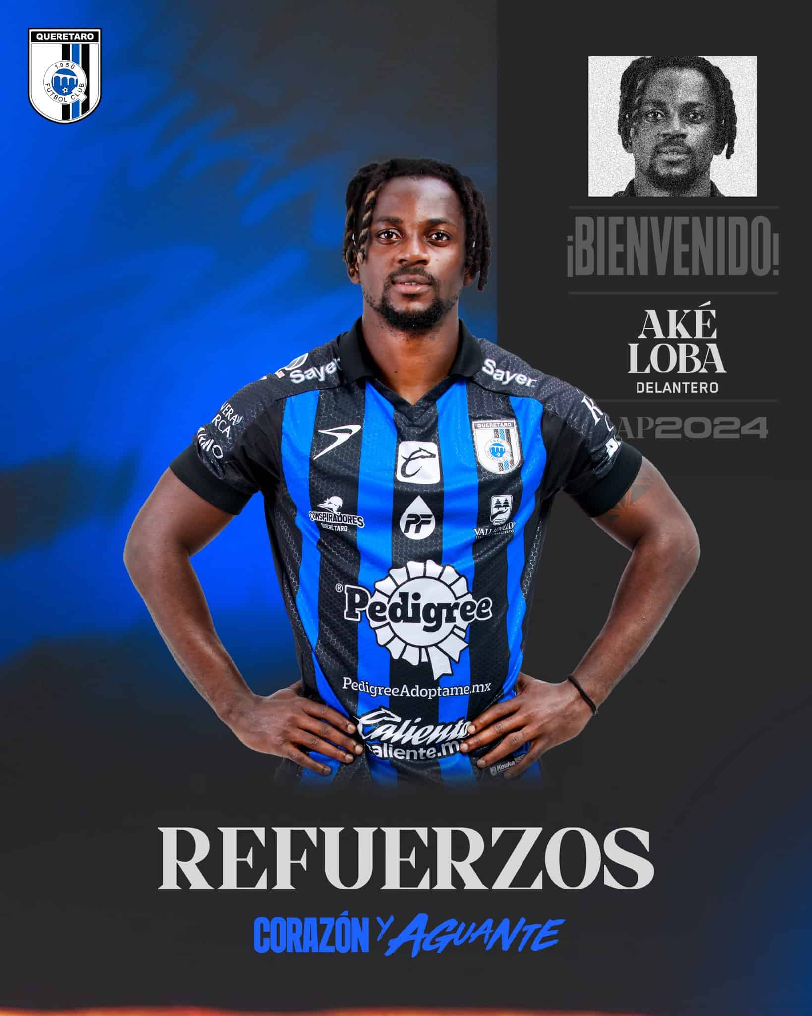 Aké Loba regresa a Querétaro | Imagen: @Club_Queretaro