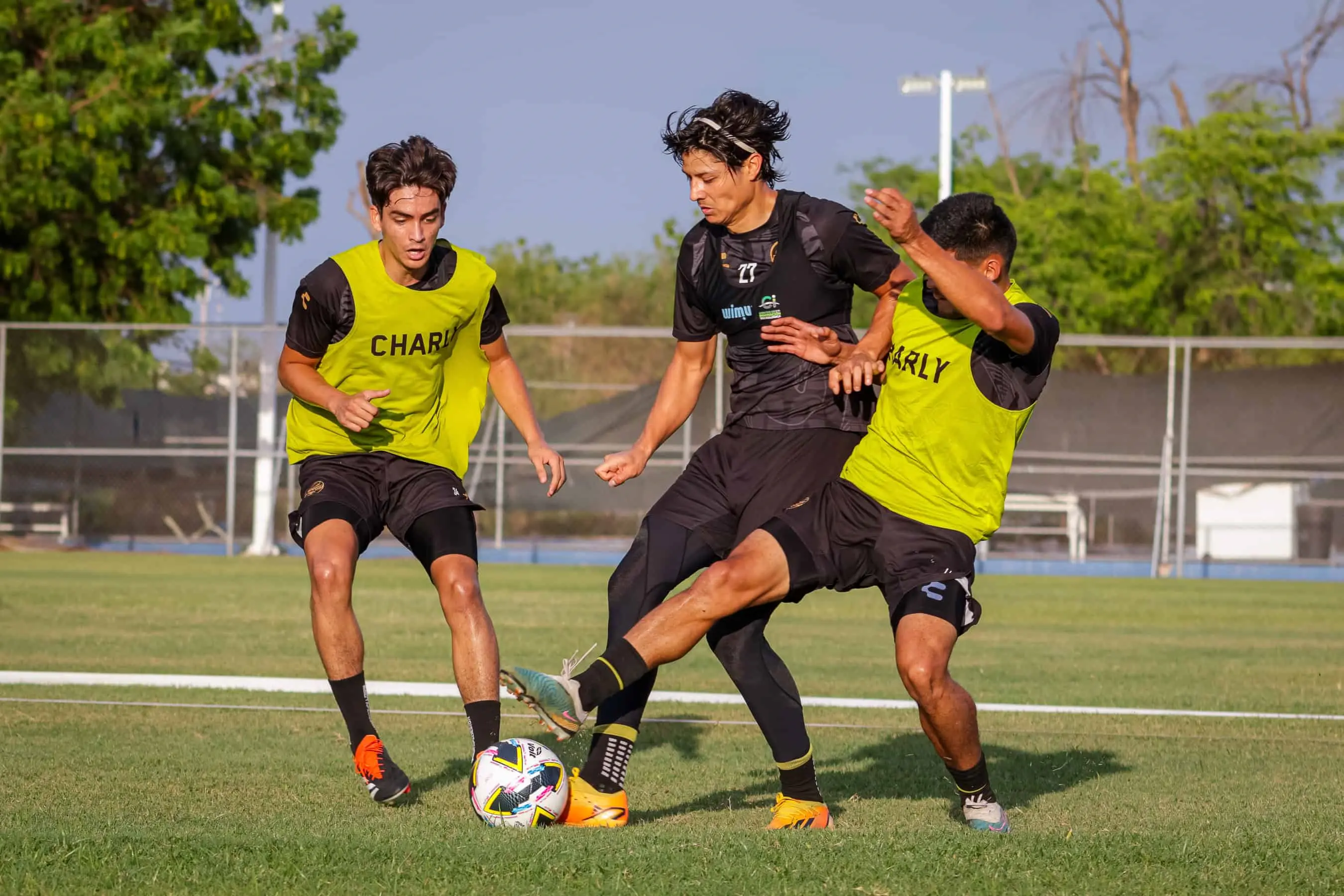 El Gran Pez se prepara para le inicio del Apertura 2024 | Imagen: @Dorados