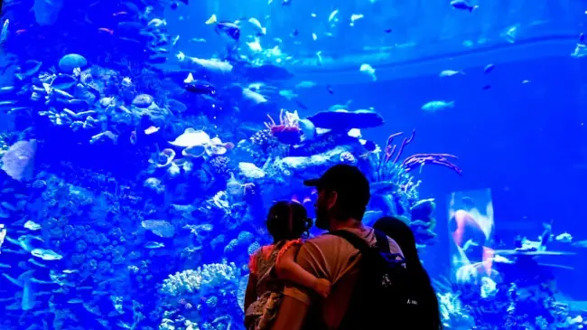 Gran Acuario Mar de Cortes.