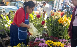 Berriozábal, Chiapas; un lugar que se distingue por sus diversos viveros