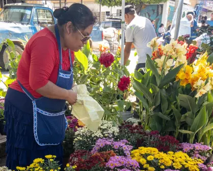 Berriozábal, Chiapas; un lugar que se distingue por sus diversos viveros