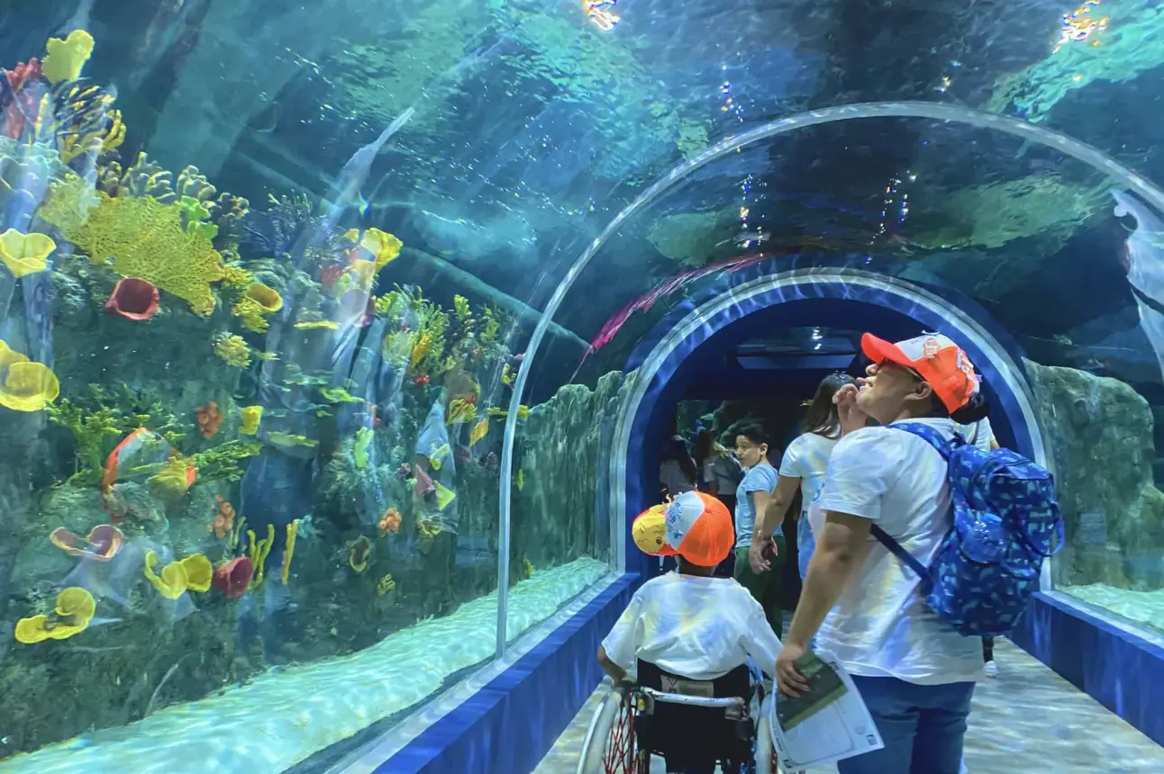 Acuario Michin CDMX.