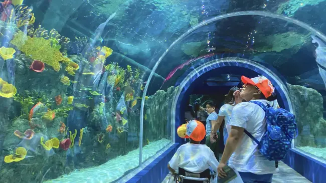 Acuario Michin CDMX.