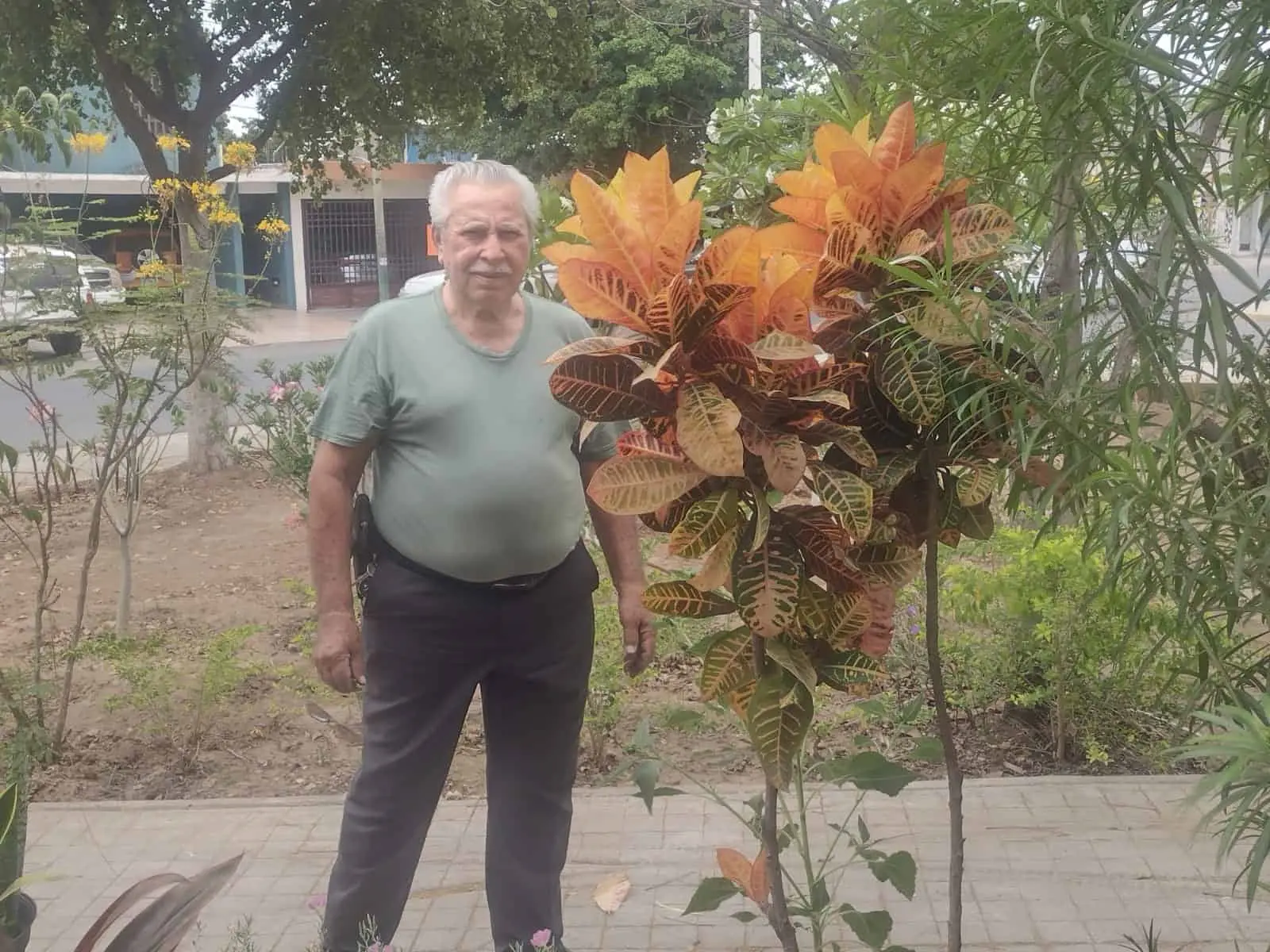 Con dedicación Manuel cuida de su jardín.