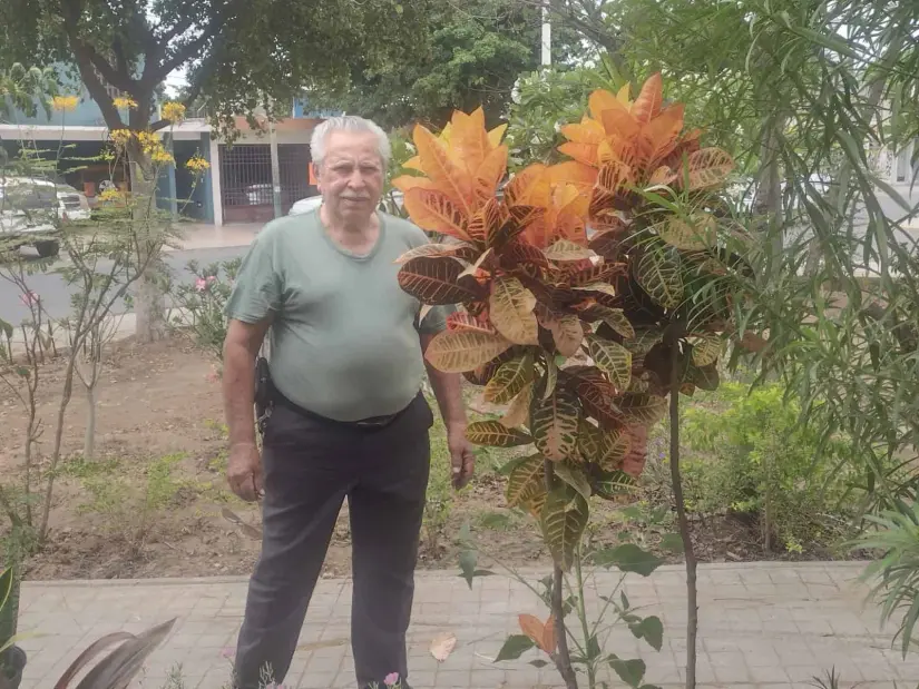 Con dedicación Manuel cuida de su jardín.