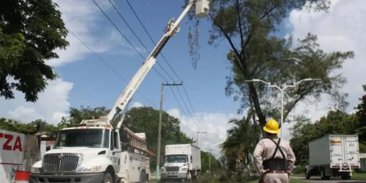 Poda de árboles para evitar fallas en suministro eléctrico