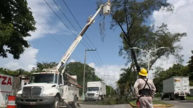 Poda de árboles para evitar fallas en suministro eléctrico