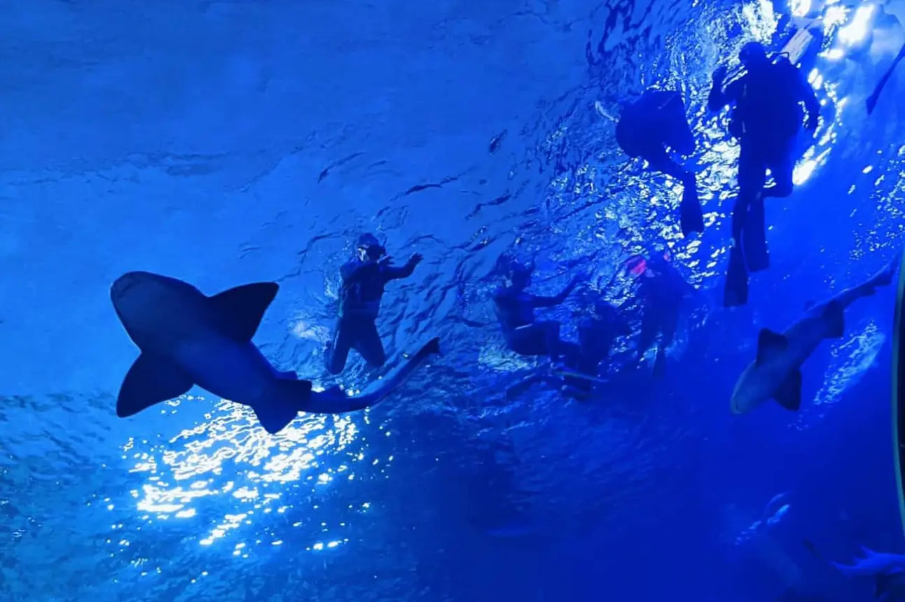 Gran Acuario Mar de Cortés en Mazatlán.