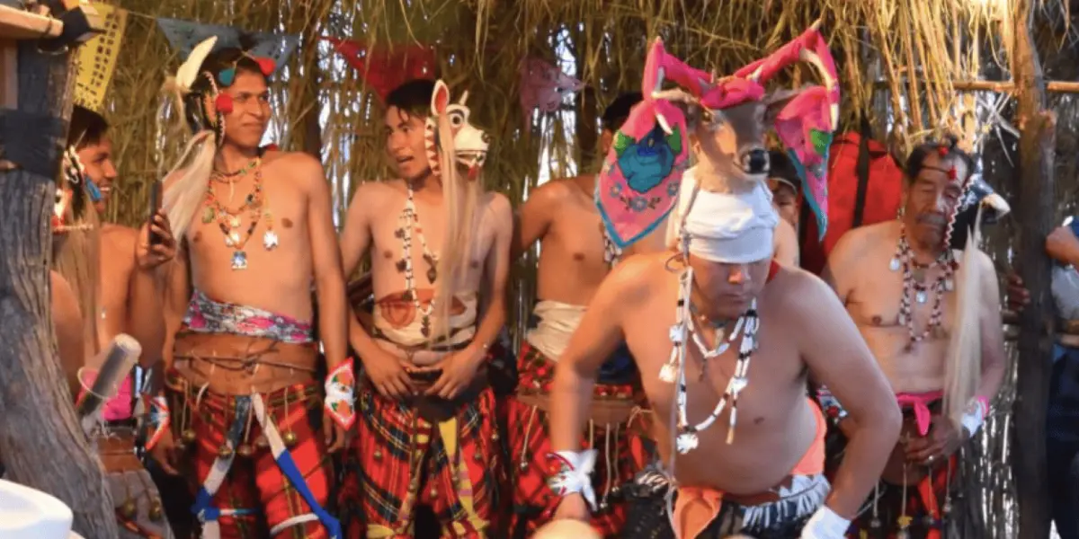 Danzas tradicionales de Sonora, una herencia cultural de siglos. Foto NORO.