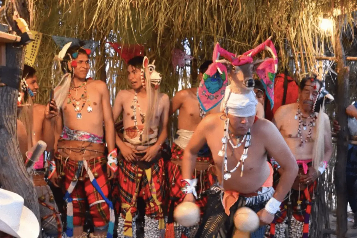 Danzas tradicionales de Sonora, una herencia cultural de siglos. Foto NORO.