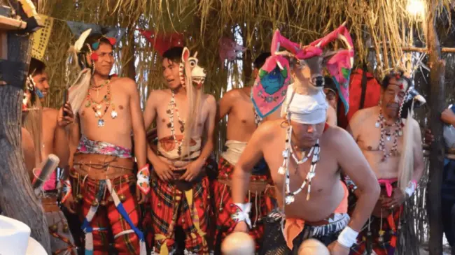 Danzas tradicionales de Sonora, una herencia cultural de siglos. Foto NORO.