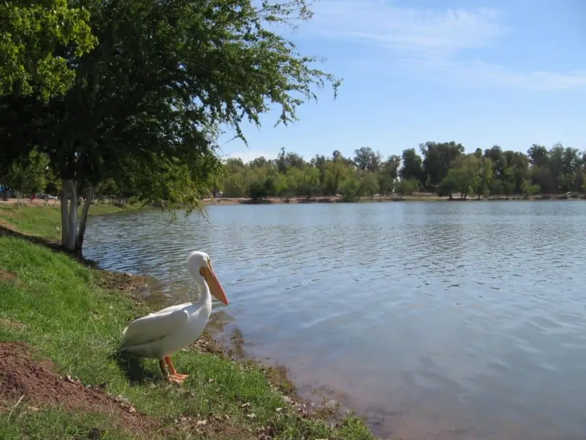 Laguna del Náinari