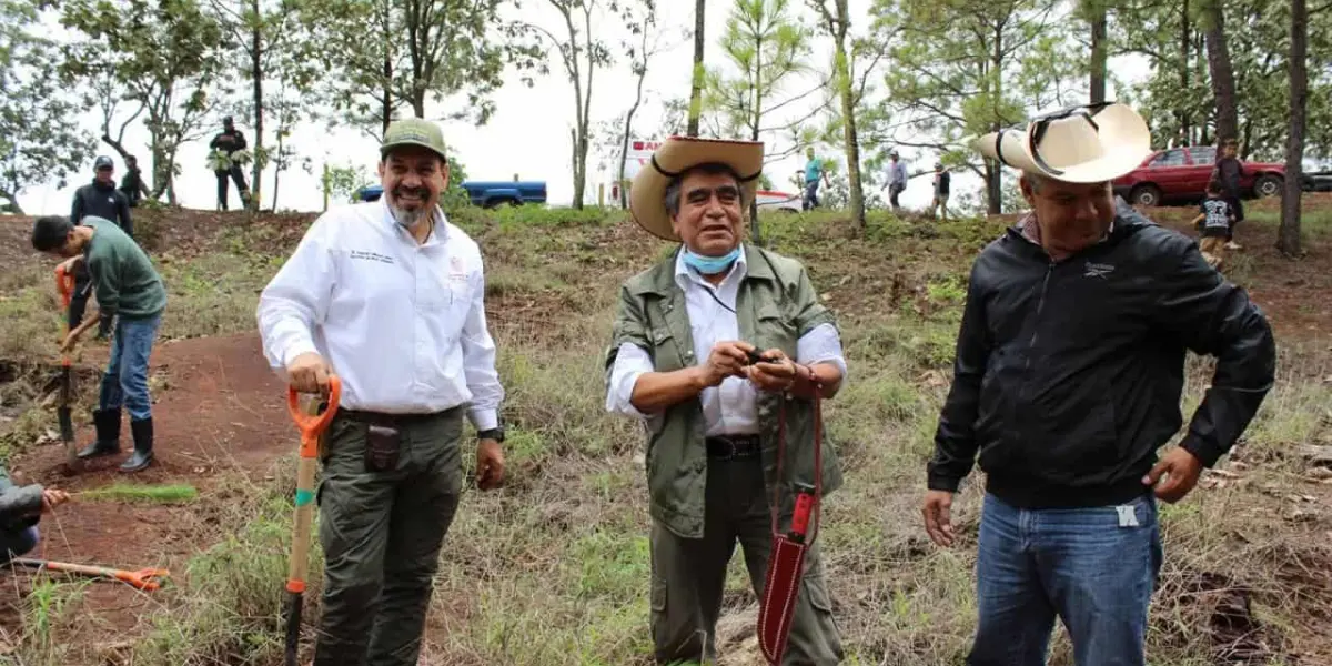 Plantarán 10 mil árboles en Área Natural Protegida Mesa de Tzitzio