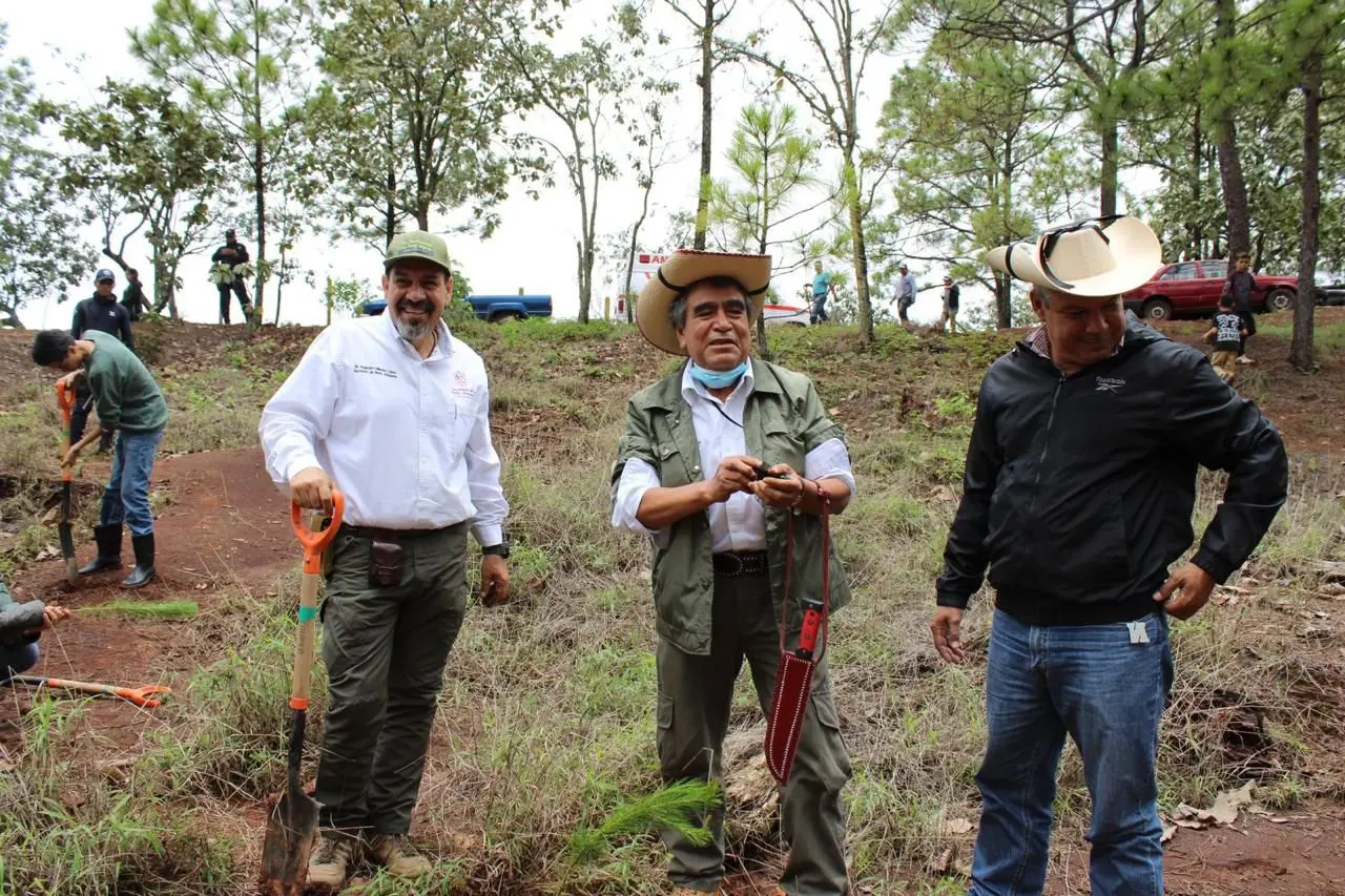 Plantarán 10 mil árboles en Área Natural Protegida Mesa de Tzitzio