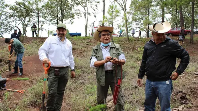 Plantarán 10 mil árboles en Área Natural Protegida Mesa de Tzitzio