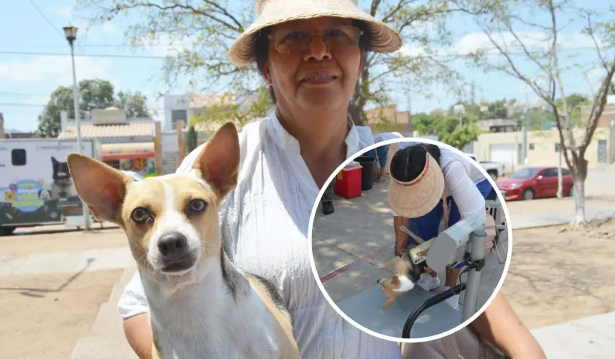 Tras ser abandonada y atropellada por un automóvil, una perrita encontró con Carmen un nuevo hogar lleno de amor en la colonia Ampliación Amistad. Foto: Juan Madrigal