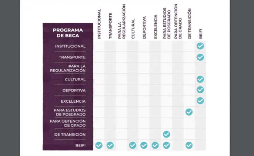 Programas de becas del IPN. Foto: IPN