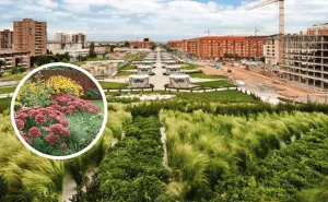 Jardines de retención de lluvia y su importancia en las ciudades