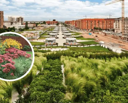 Jardines de retención de lluvia y su importancia en las ciudades