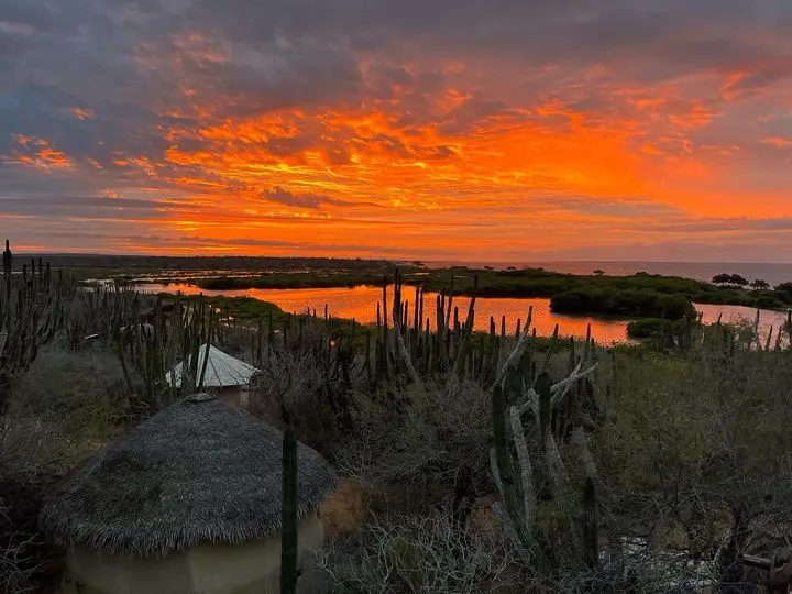 Navopatia Field Station, Sonora