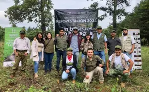 Plantan en Quiroga 18 mil árboles para la conservación del lago de Pátzcuaro