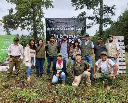 Plantan en Quiroga 18 mil árboles para la conservación del lago de Pátzcuaro