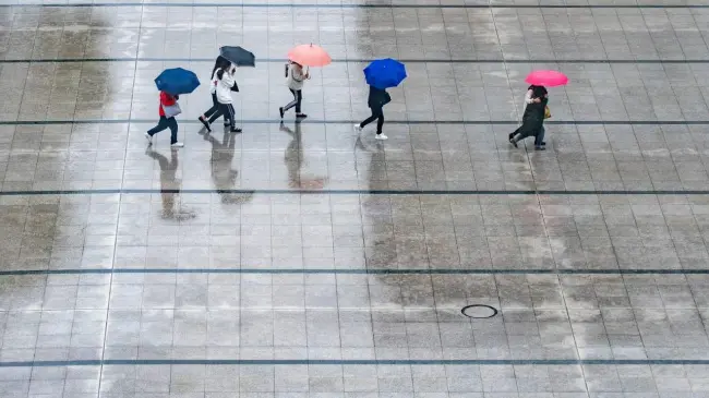 Para hoy 5 de agosto se pronostican lluvias fuertes en diferentes municipios de Sinaloa.