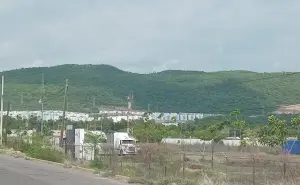 En Culiacán, Alturas del Sur es el lugar donde la lluvia despierta un verde paraíso