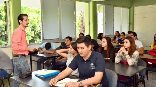 Así puedes consultar los resultados. Foto: Universidad de Colima
