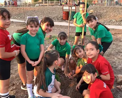 Niños de Culiacán embellecen su entorno y trabajan con arborización