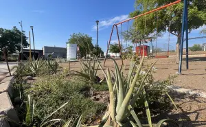 En Alturas del Sur, en Culiacán hay un jardicito lleno de vida y belleza