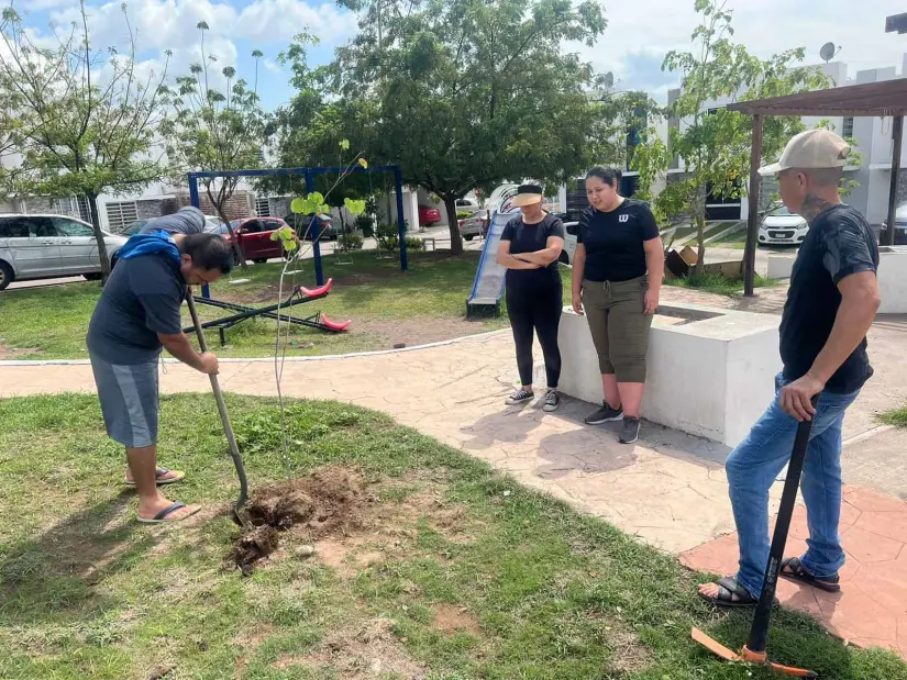 Plantan 220 árboles en Culiacán Parques Alegres y Grupo Premien reforestan diferentes parques de Culiacán.