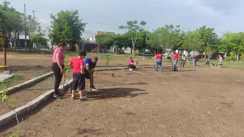 Plantan 220 árboles en diferentes parques en Culiacán Exitosa jornada de arborización en la capital sinaloense.