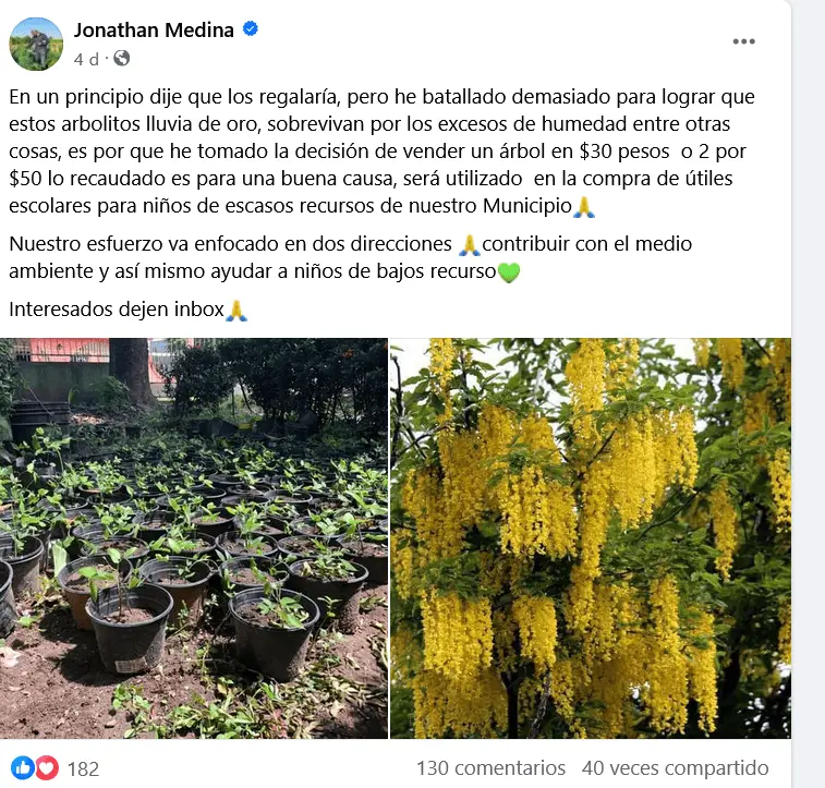 Los árboles que vendía Jonathan en Oaxaca para ayudar a niños con útiles escolares. Foto: Captura de pantalla