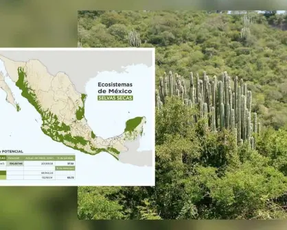 Las selvas secas en México y su biodiversidad