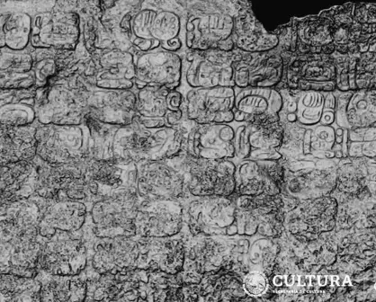 Descubren extenso texto glífico maya en la Zona Arqueológica de Cobá, en Quintana Roo