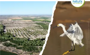 El esfuerzo diplomático para la restauración del Delta del Río Colorado, una misión de largo plazo